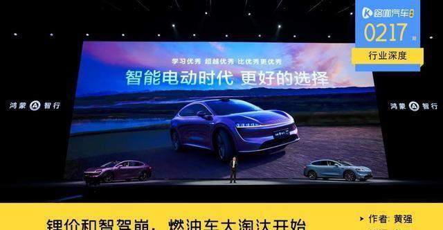 2025年，记录历史查询的未来展望，2025年，展望未来历史查询的变革与机遇