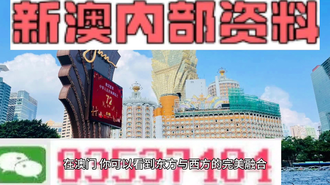 2025新澳门，精准正版资料与未来展望，2025新澳门，精准正版资料与未来展望的探索