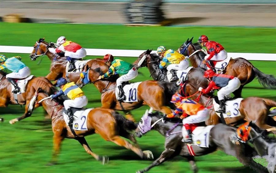 92922马会，香港赛马文化的独特魅力与现代融合，香港赛马文化，92922马会的独特魅力与现代融合