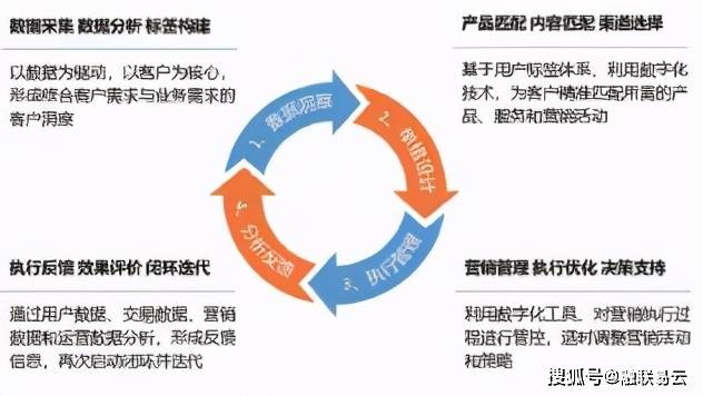 免费公开新澳精准资料，助力企业精准决策与市场洞察，新澳精准资料免费公开，助力企业精准决策与市场洞察