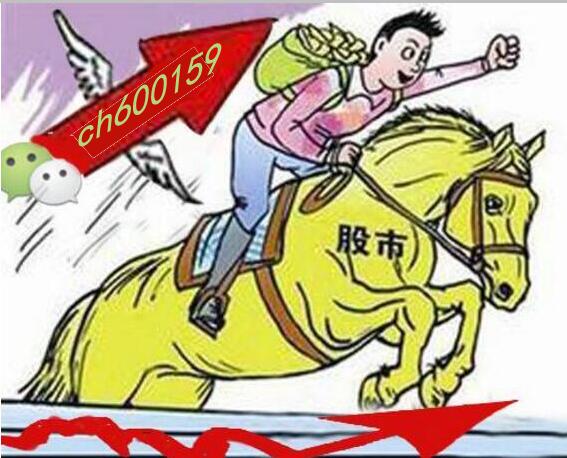 今晚特马揭秘，探寻数字背后的奥秘与惊喜，数字背后的奥秘与惊喜，今晚特马揭秘