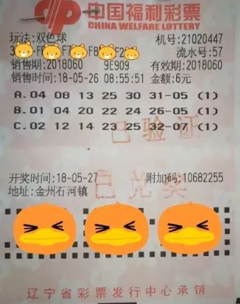 探索双色球随机选号与在线过滤的奇妙结合，双色球，随机选号与在线过滤的奇妙结合