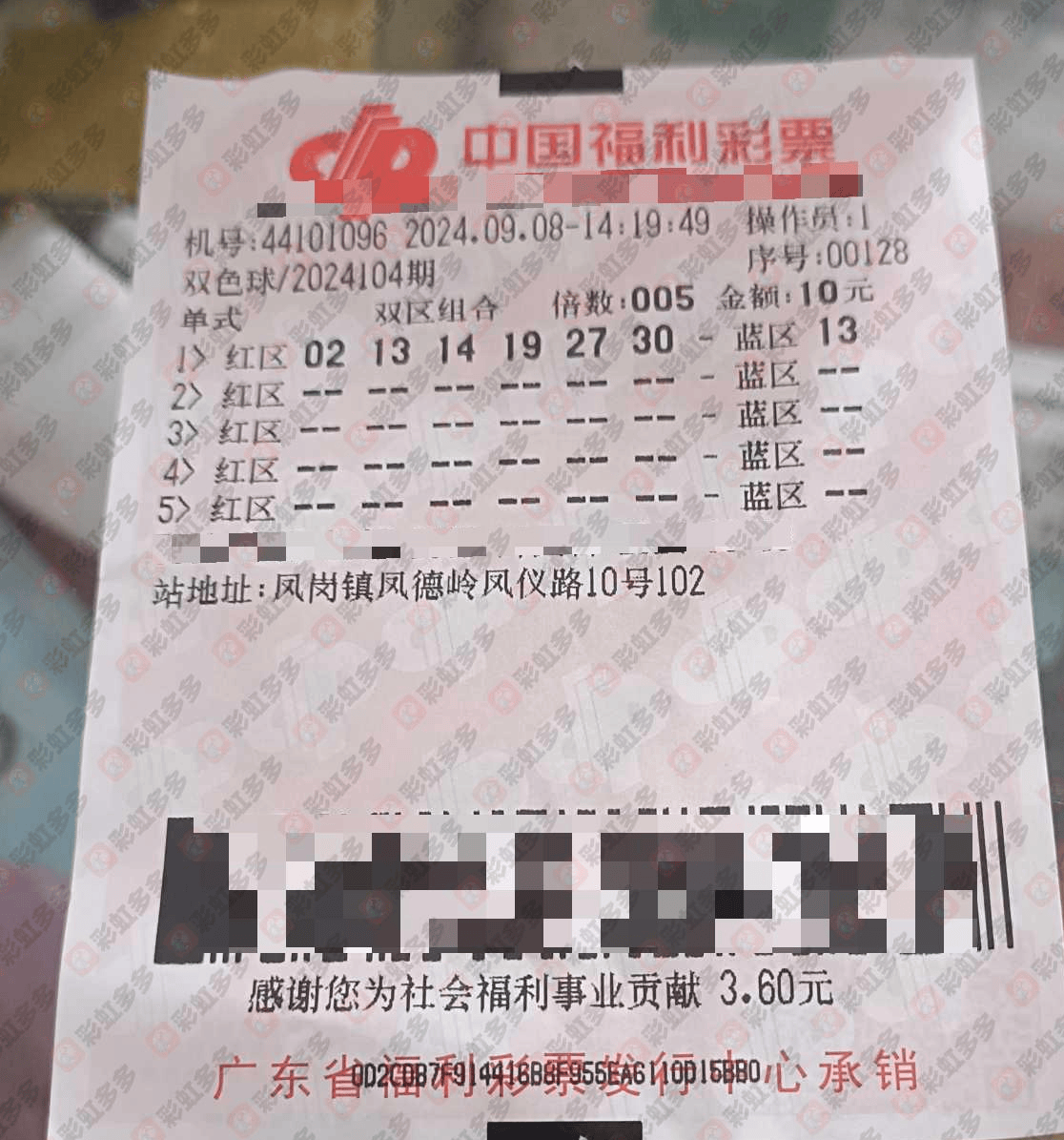 探索常青双色球第2024110期的神秘面纱，揭秘常青双色球第2024110期，探寻神秘面纱下的数字奇迹