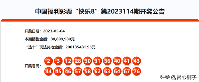 探索中国福利彩票2023036期的惊喜与希望，2023036期中国福利彩票，揭秘惊喜与希望的奇妙之旅