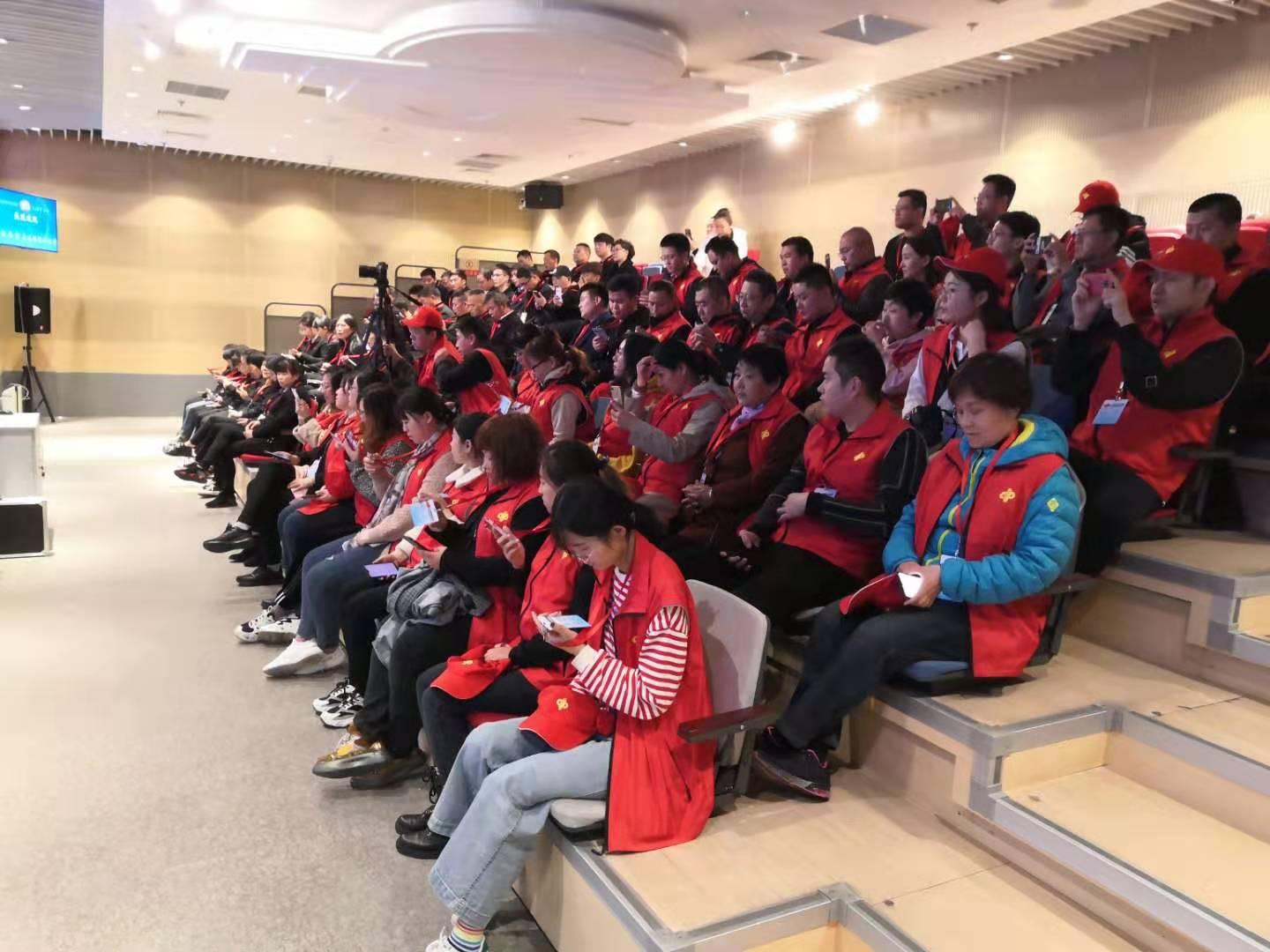 福彩3D直播，揭秘现场开奖的神秘面纱，福彩3D直播，揭秘现场开奖的神秘面纱