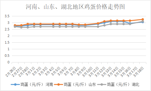 全国鸡蛋价格行情信息网，洞察市场脉动，助力精准决策，全国鸡蛋价格行情信息网，洞察市场脉动，助力精准决策