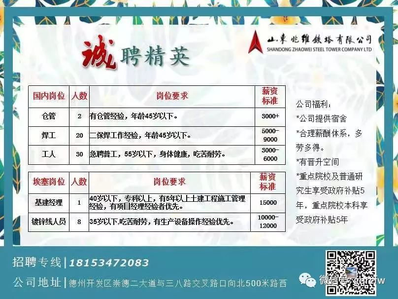 莱州信息网，求职者的智慧之选，莱州信息网，求职者的智慧之选
