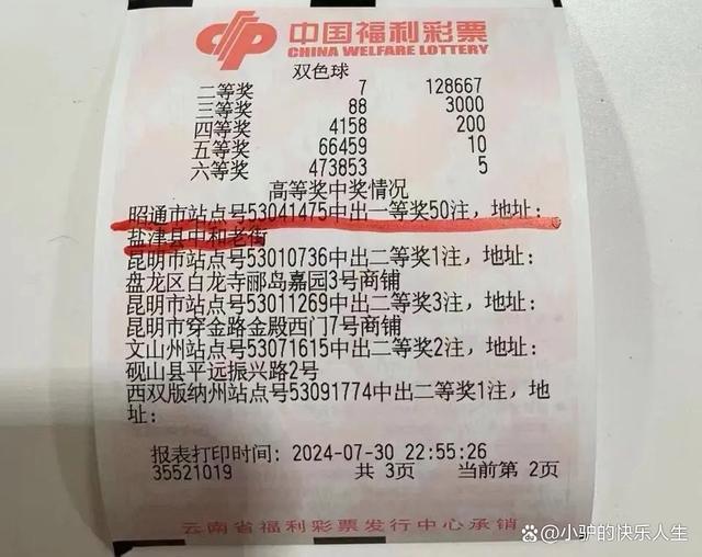 揭秘双色球96期开奖号码，幸运的数字与概率的较量，揭秘双色球第96期开奖，幸运数字与概率的精彩较量