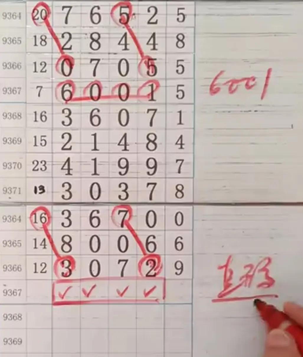 今晚排列五预测，揭秘数字背后的奥秘，揭秘数字奥秘，今晚排列五预测