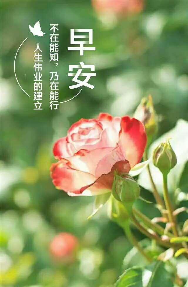 快乐8选十，一注推荐，开启幸运之旅，一注快乐8选十，开启你的幸运之旅