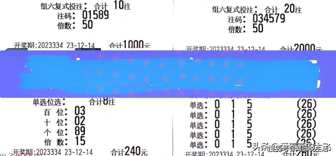 全家共赏，今日焰舞福彩3D字谜汇总，共筑家庭欢乐时光，全家共赏福彩3D字谜，共筑欢乐时光