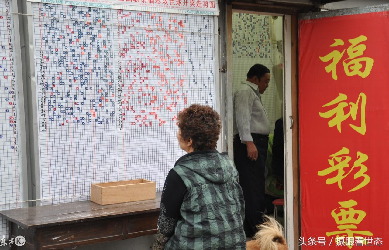 彩民村双色球走势图（专业版），揭秘数字背后的奥秘，揭秘双色球数字走势，彩民村专业版走势图深度解析