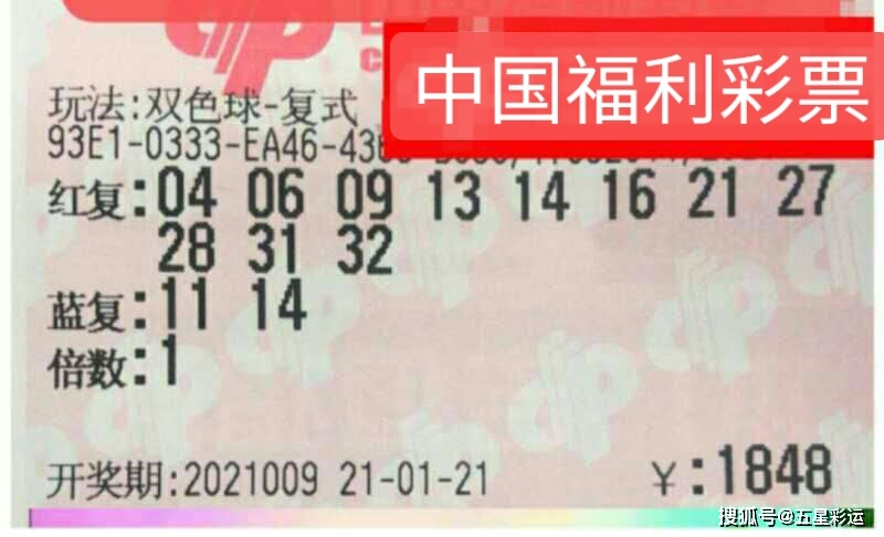 探索双色球100期的奇妙之旅，从数字到梦想的飞跃，双色球100期，从数字到梦想的奇妙飞跃之旅