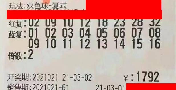 2017年双色球111期开奖揭晓，梦想与幸运的碰撞，2017年双色球111期开奖，梦想与幸运的璀璨碰撞