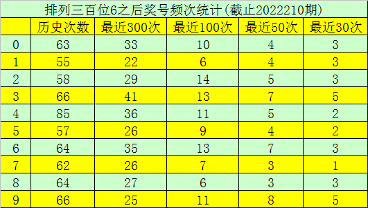 历史回顾，双色球081期开奖号码汇总与分析，双色球081期历史回顾，开奖号码汇总与分析