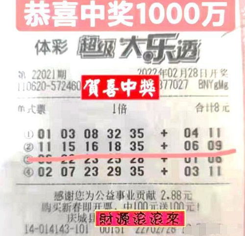 双色球随机一注，摇一摇，开启幸运之旅，双色球随机一注，摇出幸运之旅