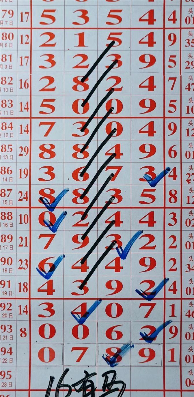今日体育彩票中奖号码揭秘，幸运数字的背后与购彩者的期待，揭秘今日体育彩票中奖号码，幸运数字背后的期待与奥秘
