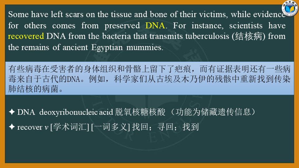 3D组三历史最大遗漏，探寻数字背后的奥秘与启示，3D组三历史最大遗漏，数字背后的奥秘与启示