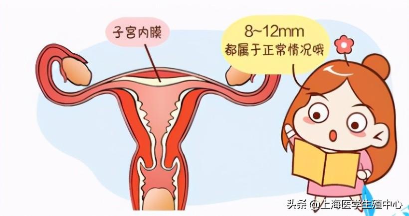 宫内膜12mm，解读怀孕的线索，解读宫内膜12mm，怀孕的潜在线索