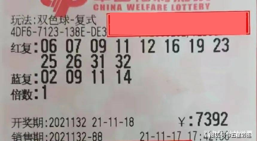 廿关五出，国头望双色球，一场关于梦想与希望的奇妙旅程，双色球，廿关五出，国头望中的梦想与希望之旅