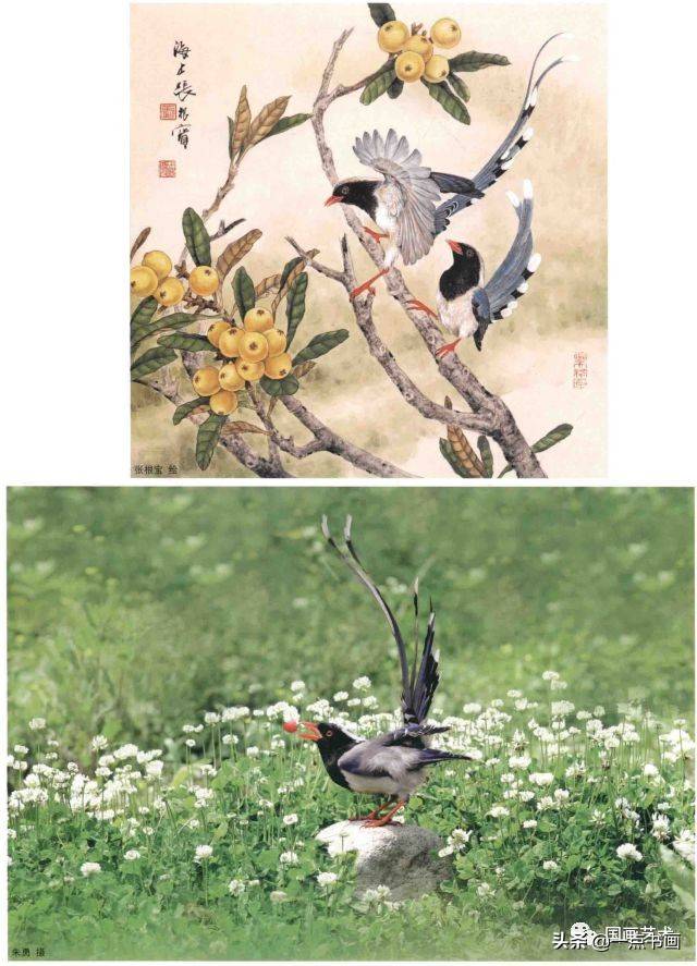 探索大乐透的奥秘，基本走势图表图带解析，揭秘大乐透基本走势图表，解析与探索