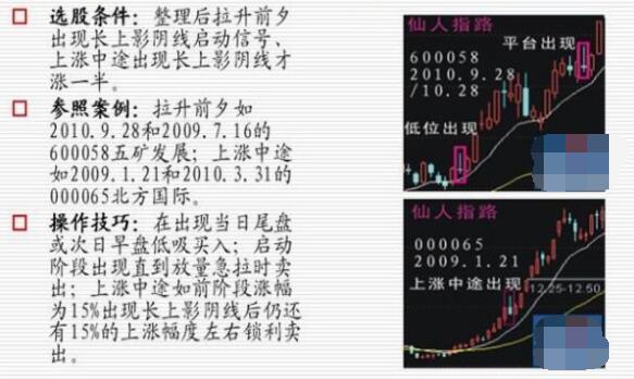 牛远志，双色球选号秘籍——揭秘专家专栏的独门绝技，牛远志揭秘，双色球选号秘籍与专家专栏独门绝技