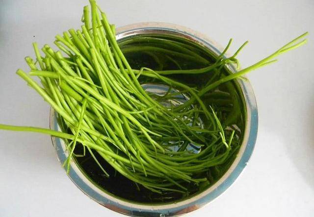 空心菜与双色球，一场智慧与趣味的奇妙邂逅，智慧与趣味的奇妙碰撞，空心菜与双色球的跨界邂逅