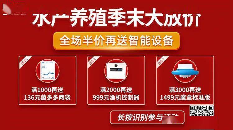 探索幸运之谜，揭秘14076期双色球开奖号码的奥秘，揭秘14076期双色球开奖号码，探索幸运之谜