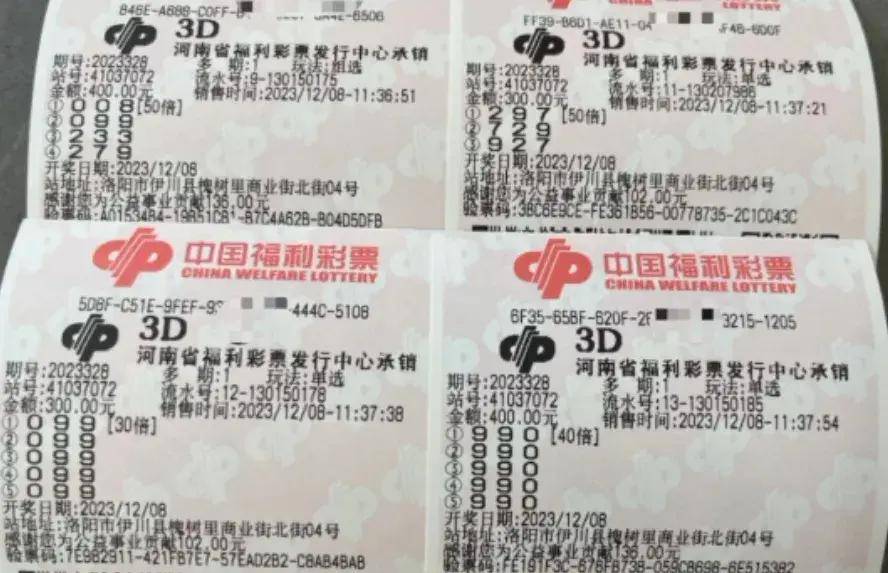 广西福利彩票，双色球下的希望与梦想，广西福利彩票，双色球下的希望与梦想