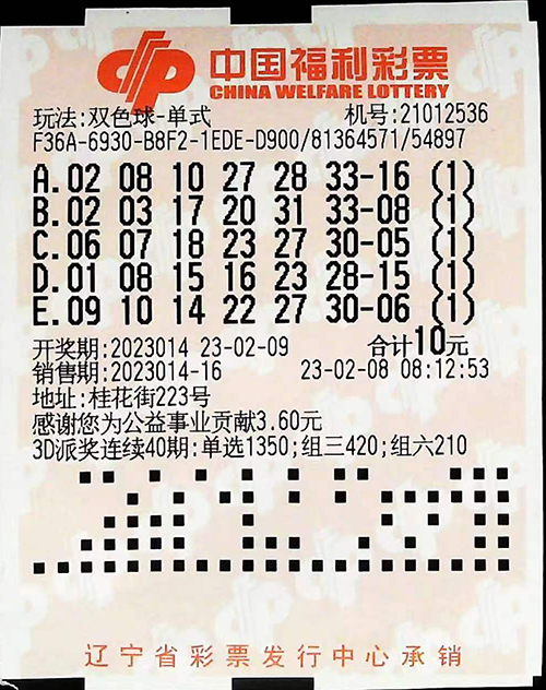辽阳双色球一等奖，幸运的火花点亮生活，辽阳双色球一等奖，点燃生活的幸运火花