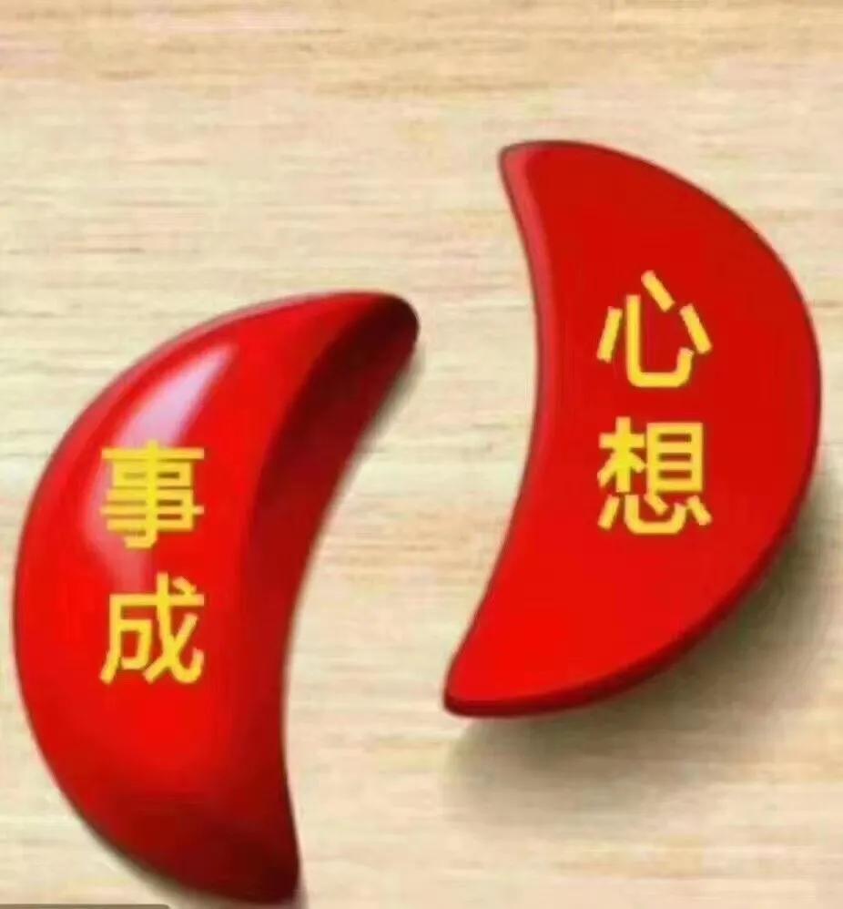 2021020双色球开奖视频，揭秘幸运时刻的精彩瞬间，2021020双色球开奖视频，揭秘幸运时刻的精彩瞬间