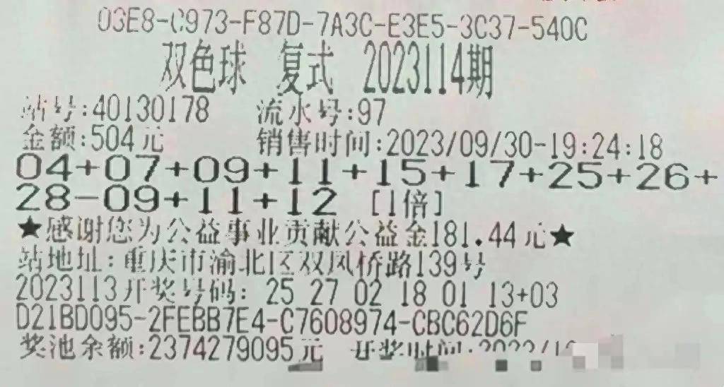 彩票查询114期，梦想与现实的交汇点，梦想与现实的交汇，114期彩票查询之旅