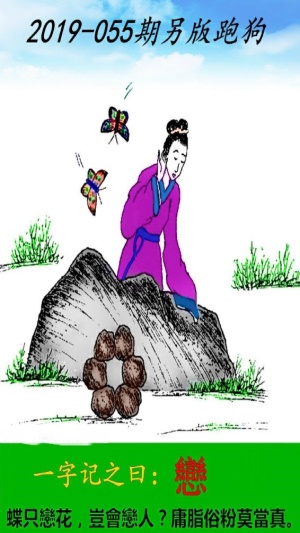 澳门跑狗图，2019年回顾与解析，2019年澳门跑狗图回顾与解析