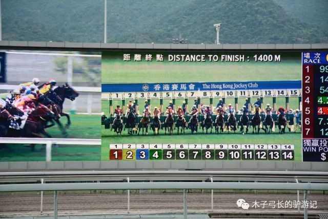 探索香港马赛马会，最准资料的深度剖析，深度探索香港马赛会，最准确资料的剖析与解读