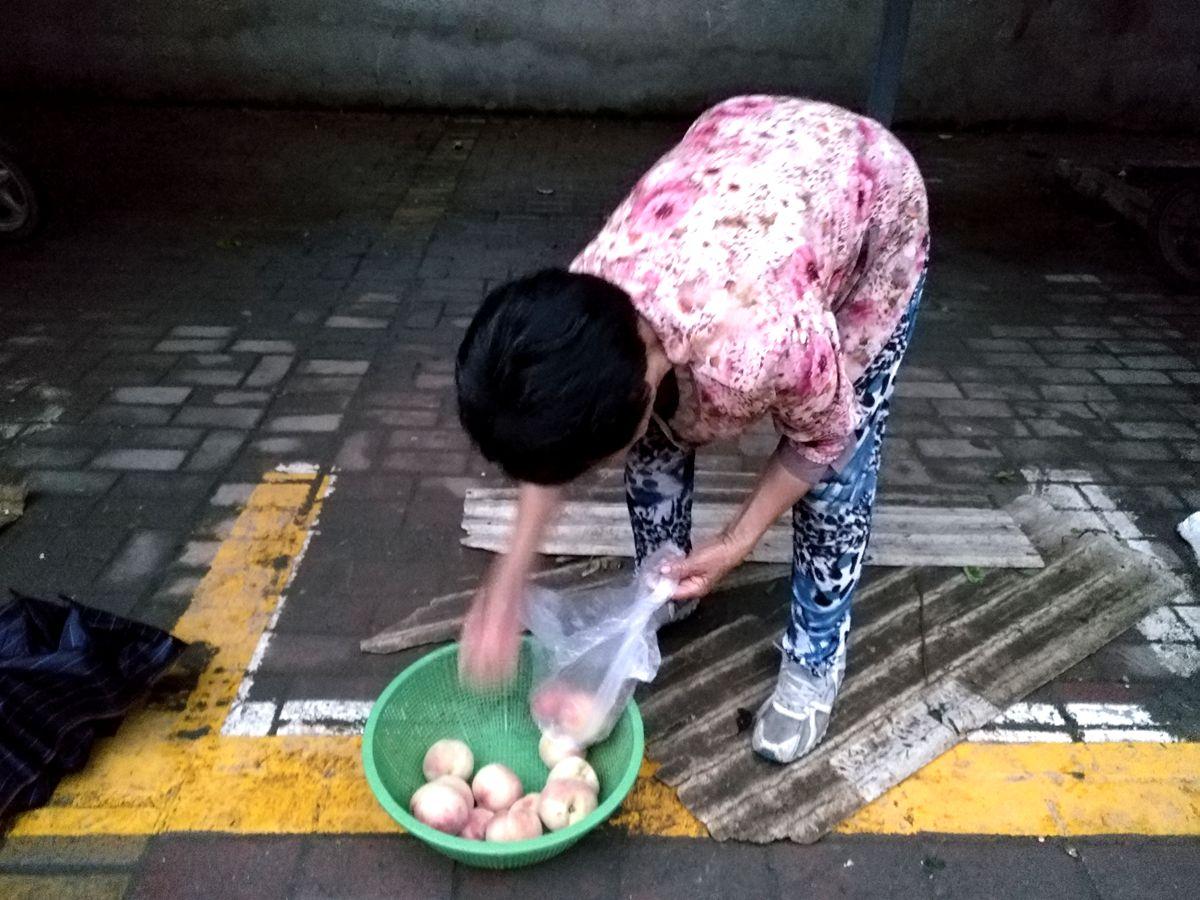 天下水果奶奶，免费资料背后的甜蜜秘密，天下水果奶奶，解锁免费资料背后的甜蜜秘密