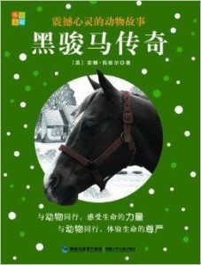 今日特马，揭秘背后的故事与影响，揭秘今日特马，背后的故事与深远影响