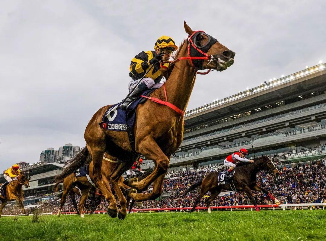 2019年香港马会资料大全，赛马盛事与精彩瞬间回顾，2019年香港马会赛马盛事与精彩瞬间回顾