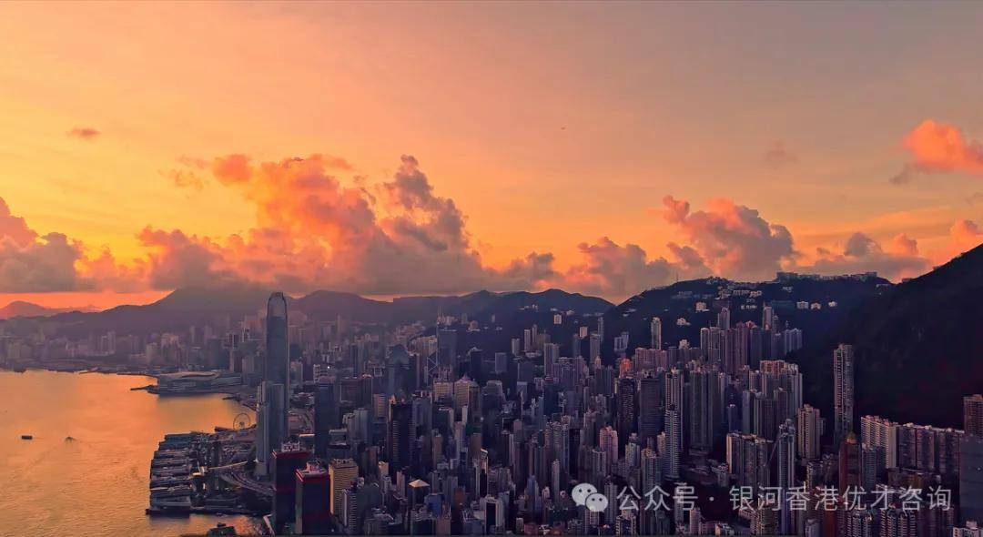2021年马会正版香港资料大全，全面解析与使用指南，2021年马会正版香港资料大全，全面解析与使用指南