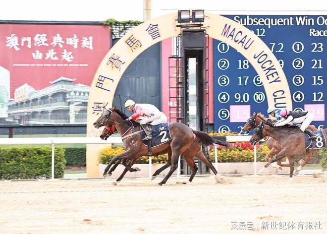 探秘马会，历史、文化与现代意义，探秘马会，历史、文化与现代意义的深度解读