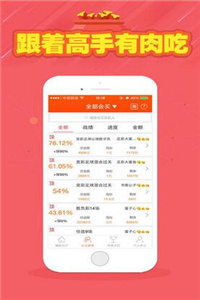 二四六天天好彩，每期文字资料大全解析与预测，二四六天天好彩，每期文字资料深度解析与精准预测