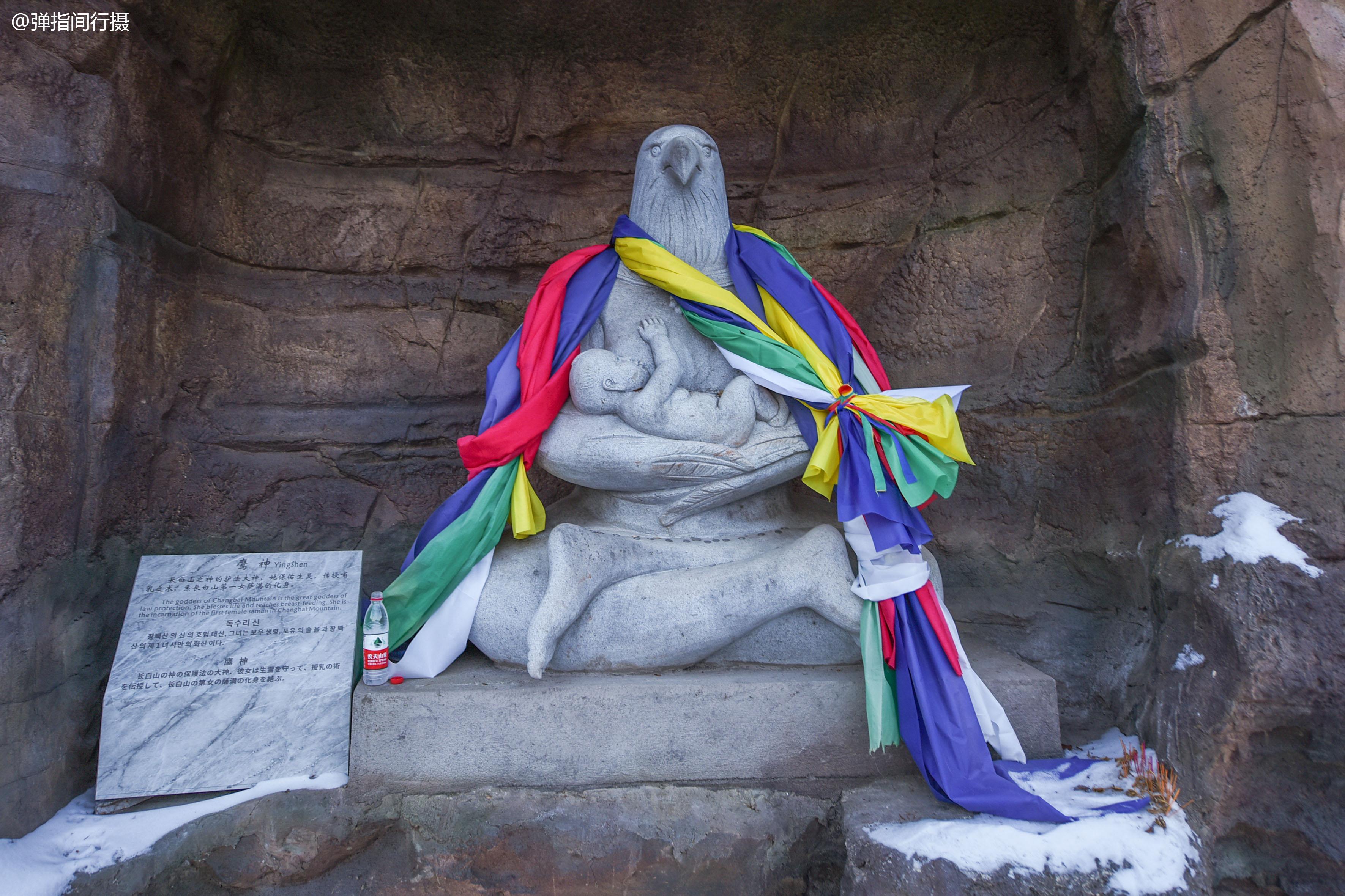 探秘神鹰论坛，网络交流的隐秘花园，探秘神鹰论坛，网络交流的隐秘花园