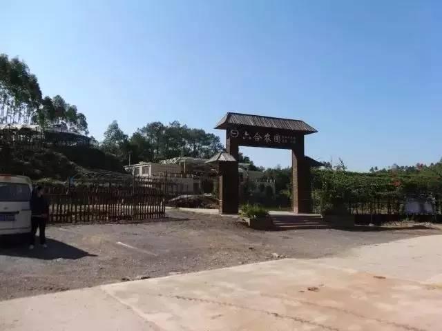 探索六合网投，重塑数字娱乐与投资新生态，六合网投，重塑数字娱乐与投资新生态的探索之旅