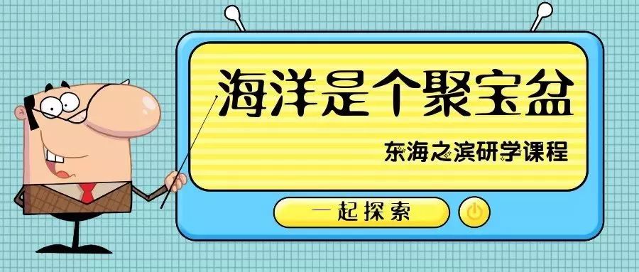 图片的海洋，探索红姐图库118的无限魅力，红姐图库118，探索图片海洋的无限魅力