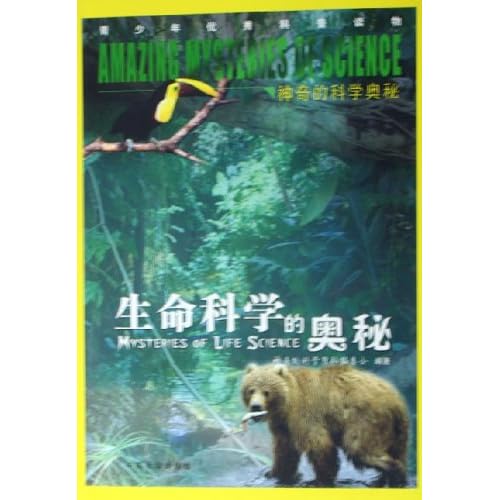 探索数字世界的奇妙，49579、四不像与908181的神秘交织，数字迷宫，49579、四不像与908181的神秘交织探索