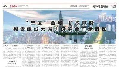 正版与四不像之间的灰色地带，探索网络文化的边界与挑战，网络文化中的灰色地带，正版与四不像的边界挑战