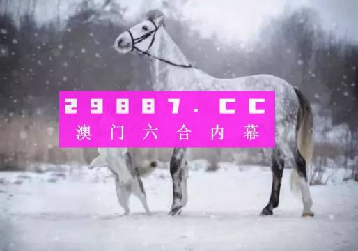 澳门一肖一码一中一肖，揭秘背后的真相与误解，揭秘澳门一肖一码一中一肖，真相与误解的背后