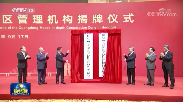 澳门彩金，新澳门最新开奖历史结果深度解析，澳门彩金，新澳门最新开奖历史结果的深度解析