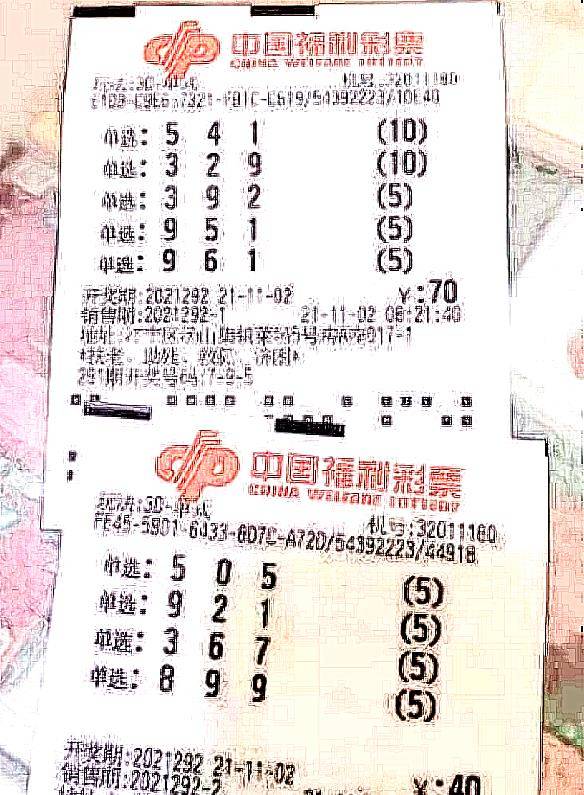 理性面对彩票，三肖选一肖一码的理性分析，理性选择，三肖选一肖一码的彩票投注策略分析