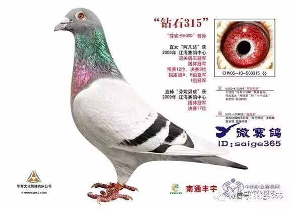 澳门494949.CC，一站式资料大全的探索与解析，澳门494949.CC，一站式资料大全的深度探索与解析
