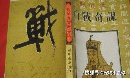 揭秘刘伯温精选一码，历史智慧与现代彩市的奇妙融合，刘伯温精选一码揭秘，历史智慧与现代彩市的跨界融合